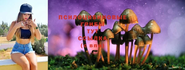 spice Арсеньев