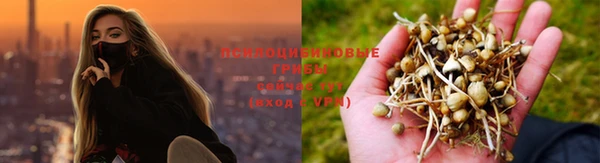 spice Арсеньев