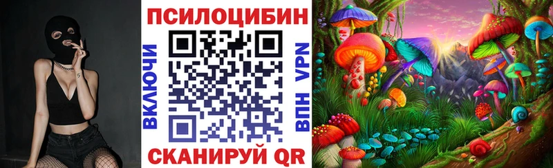наркота  Строитель  Галлюциногенные грибы Cubensis 