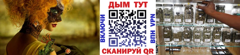 Канабис OG Kush  MEGA ссылки  Строитель 